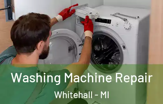  Washing Machine Repair Whitehall - MI