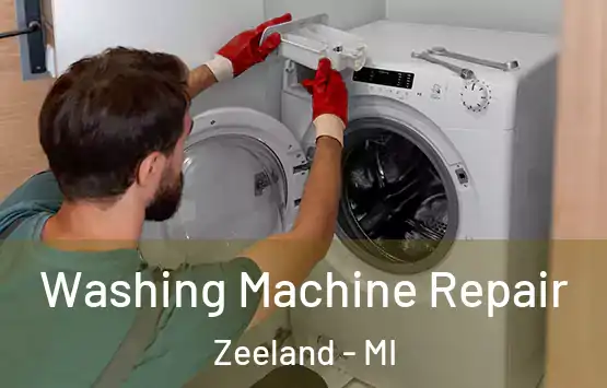  Washing Machine Repair Zeeland - MI