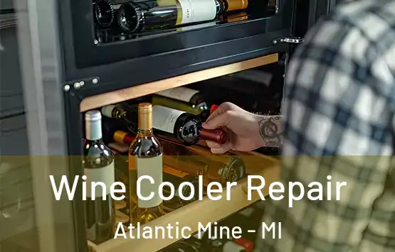  Wine Cooler Repair Atlantic Mine - MI