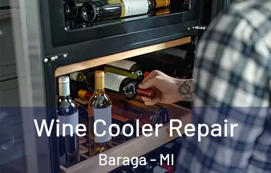  Wine Cooler Repair Baraga - MI