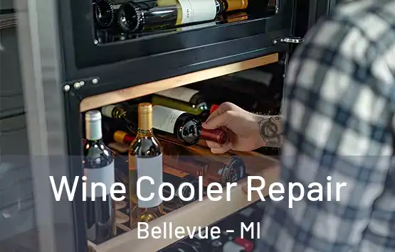  Wine Cooler Repair Bellevue - MI