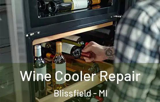  Wine Cooler Repair Blissfield - MI