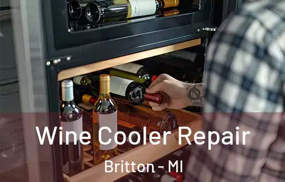  Wine Cooler Repair Britton - MI