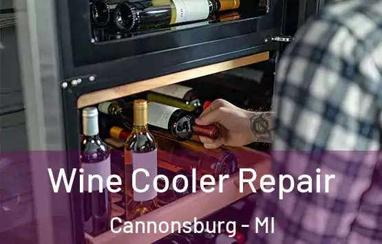  Wine Cooler Repair Cannonsburg - MI