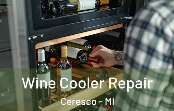  Wine Cooler Repair Ceresco - MI