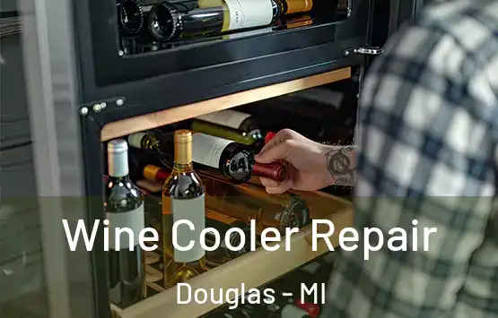  Wine Cooler Repair Douglas - MI