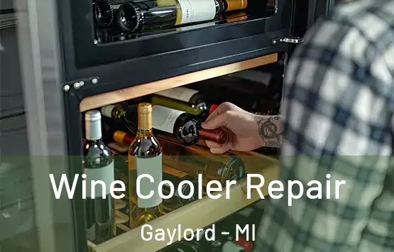  Wine Cooler Repair Gaylord - MI
