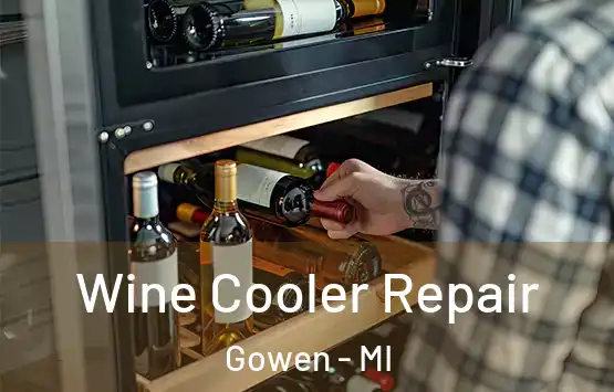  Wine Cooler Repair Gowen - MI