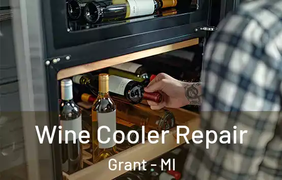  Wine Cooler Repair Grant - MI
