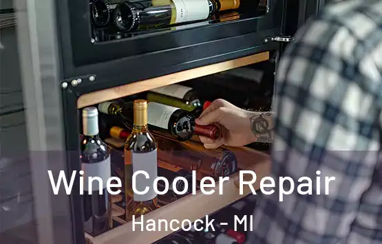  Wine Cooler Repair Hancock - MI
