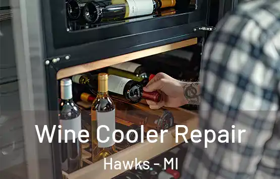  Wine Cooler Repair Hawks - MI