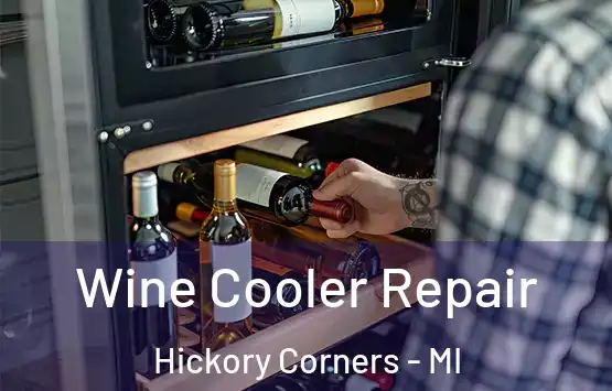  Wine Cooler Repair Hickory Corners - MI