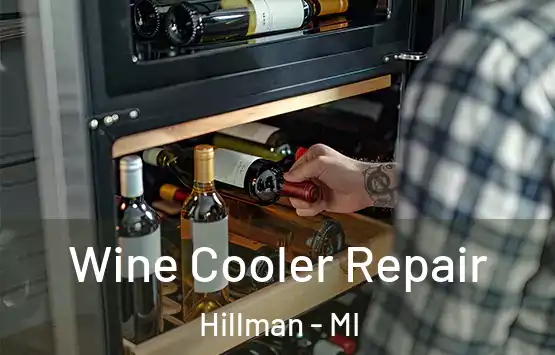  Wine Cooler Repair Hillman - MI