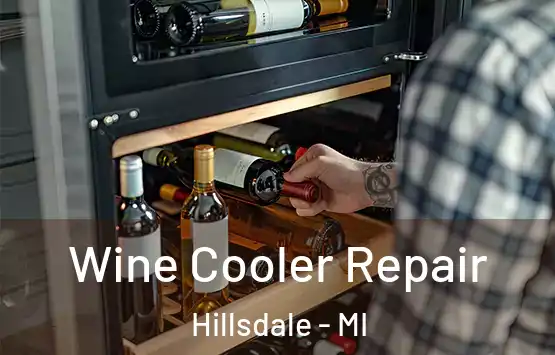  Wine Cooler Repair Hillsdale - MI