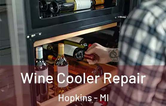  Wine Cooler Repair Hopkins - MI