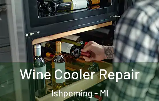  Wine Cooler Repair Ishpeming - MI