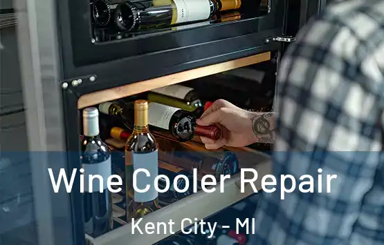  Wine Cooler Repair Kent City - MI