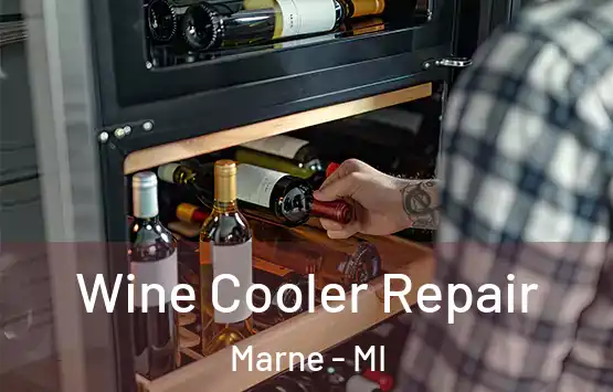  Wine Cooler Repair Marne - MI