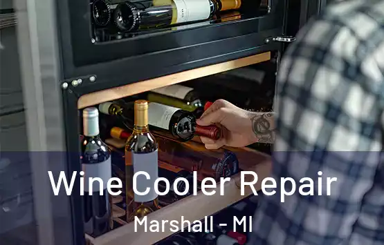  Wine Cooler Repair Marshall - MI