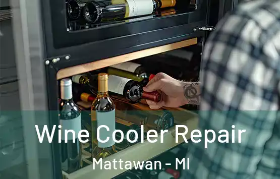  Wine Cooler Repair Mattawan - MI