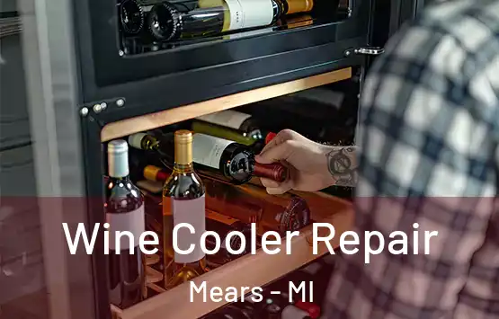  Wine Cooler Repair Mears - MI