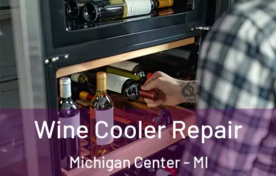  Wine Cooler Repair Michigan Center - MI