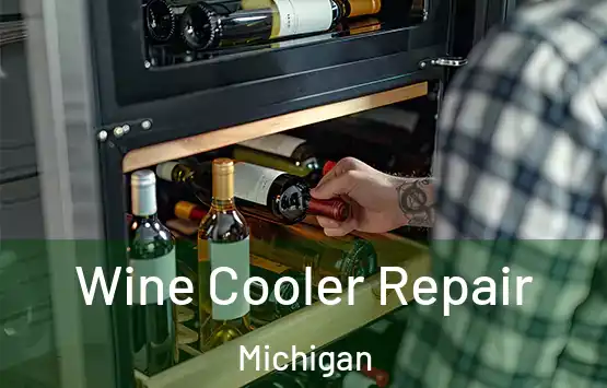 Wine Cooler Repair Michigan