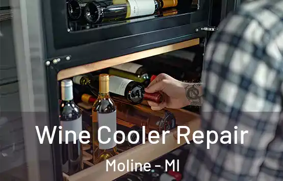  Wine Cooler Repair Moline - MI