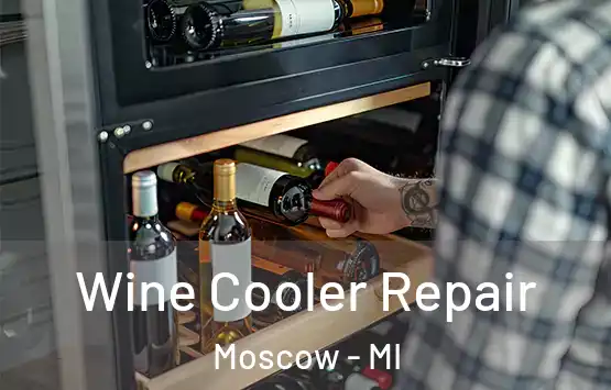  Wine Cooler Repair Moscow - MI