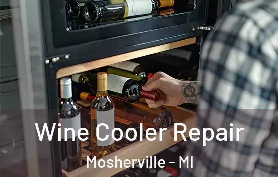  Wine Cooler Repair Mosherville - MI