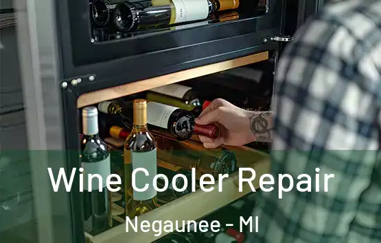  Wine Cooler Repair Negaunee - MI