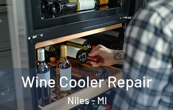  Wine Cooler Repair Niles - MI