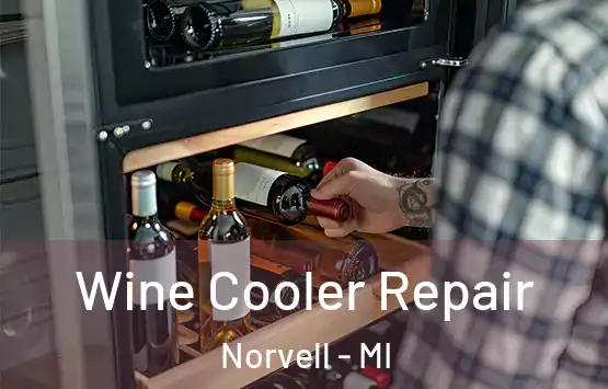  Wine Cooler Repair Norvell - MI