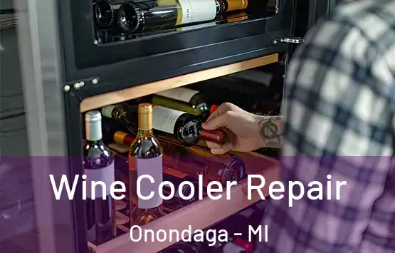  Wine Cooler Repair Onondaga - MI