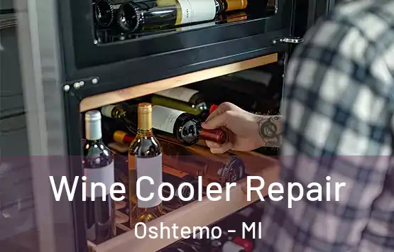  Wine Cooler Repair Oshtemo - MI