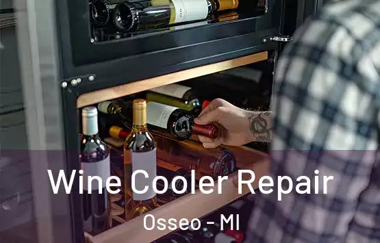  Wine Cooler Repair Osseo - MI