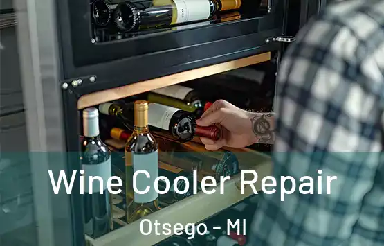  Wine Cooler Repair Otsego - MI
