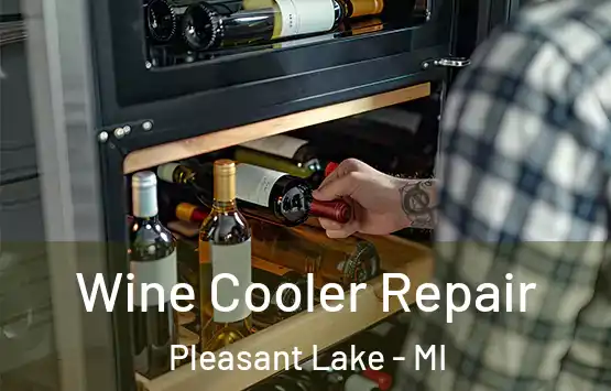  Wine Cooler Repair Pleasant Lake - MI