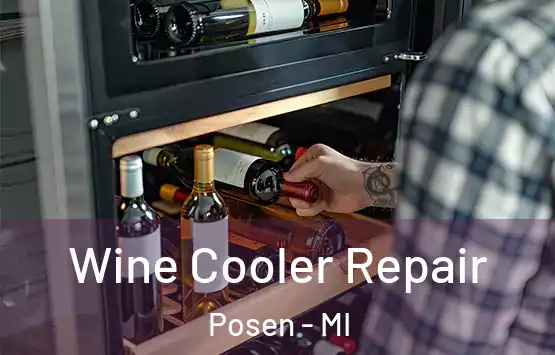  Wine Cooler Repair Posen - MI