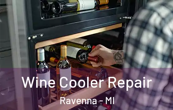  Wine Cooler Repair Ravenna - MI