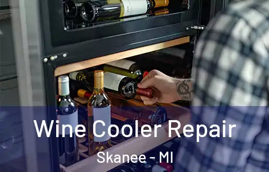  Wine Cooler Repair Skanee - MI