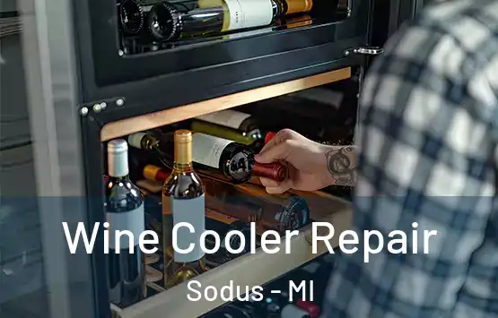  Wine Cooler Repair Sodus - MI