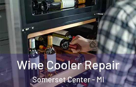  Wine Cooler Repair Somerset Center - MI