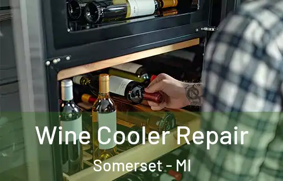  Wine Cooler Repair Somerset - MI