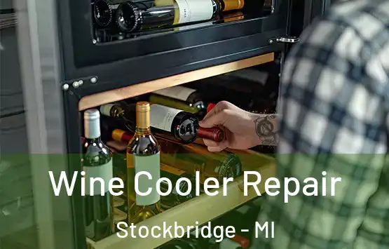  Wine Cooler Repair Stockbridge - MI