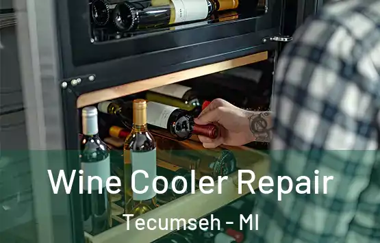  Wine Cooler Repair Tecumseh - MI