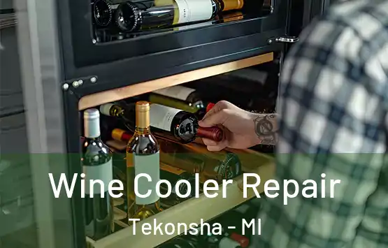  Wine Cooler Repair Tekonsha - MI