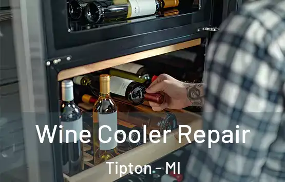  Wine Cooler Repair Tipton - MI