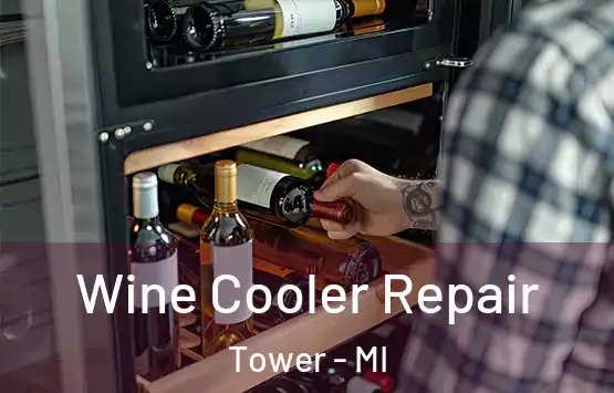  Wine Cooler Repair Tower - MI