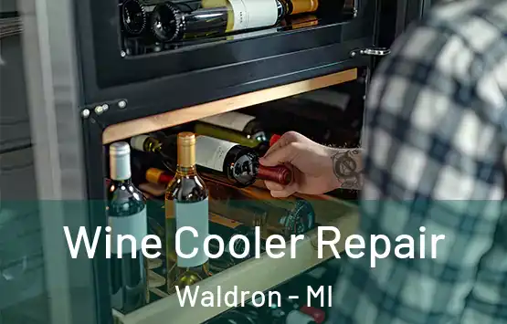  Wine Cooler Repair Waldron - MI